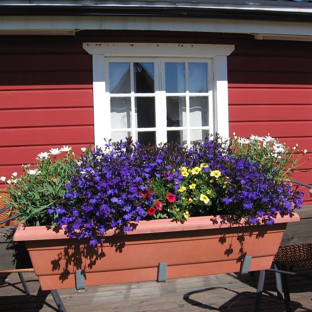 Lappeasuando 3* Puoltikasvaara
