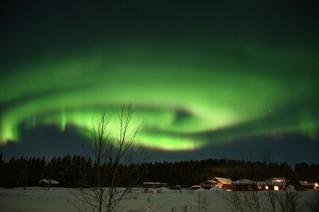 Lappeasuando Puoltikasvaara