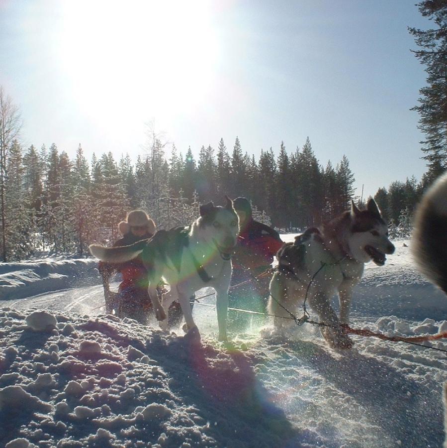 Lappeasuando 3* Puoltikasvaara